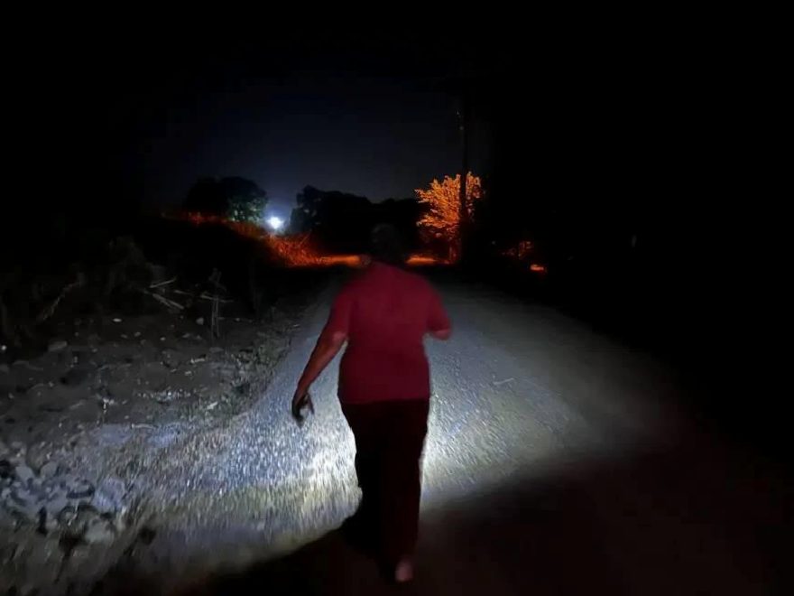 Gulyabani Baskını: Sakarya Evlerini Tehdit Ediyor, Geceleri Devr-iye Devriye Sıkılaştı
